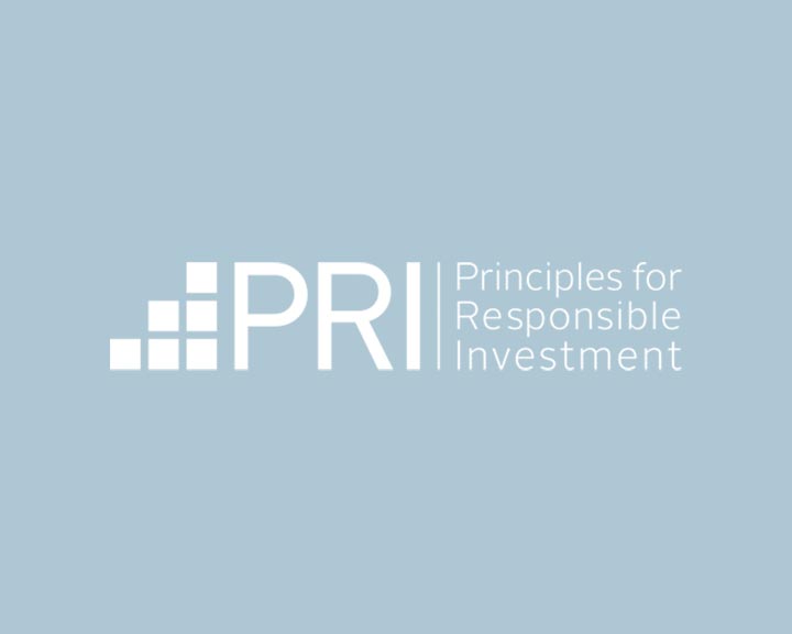 Principles for Responsible Investing